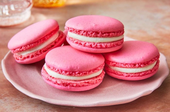 Homemade Macarons Homemade Macarons